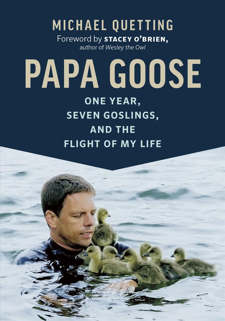 Papa Goose 9781771646185 (Paperback)