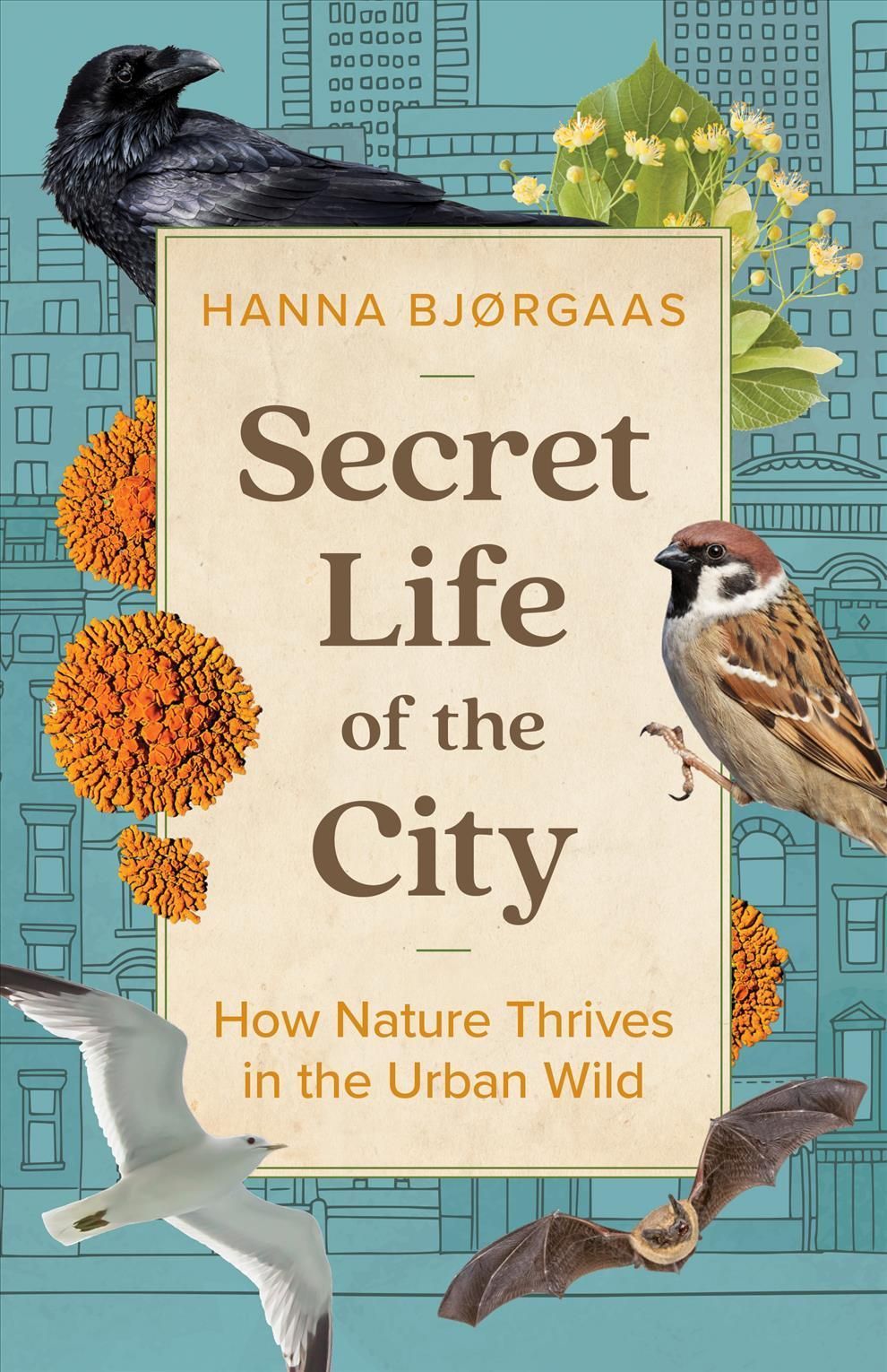 Secret Life of the City 9781771649353 (Hardback)