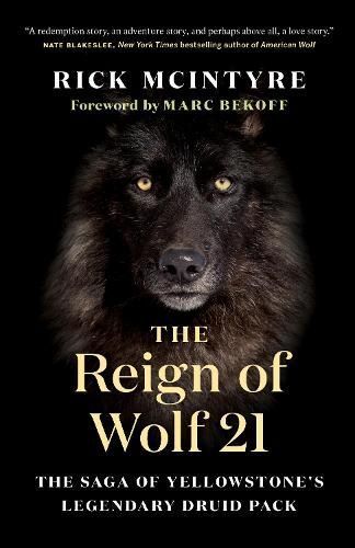 The Reign of Wolf 21 By Rick McIntyre 9781771649964 (Paperback)