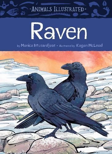 Animals Illustrated: Raven 9781772275230 (Hardback)