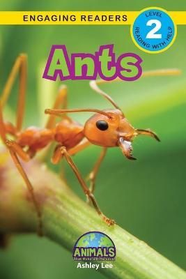 Ants By Ashley Lee (author), Alexis Roumanis (editor) 9781774376225