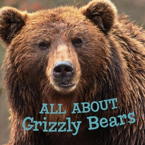 All about Grizzly Bears By Jordan Hoffman 9781774502754 (Paperback)
