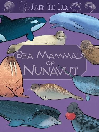 Junior Field Guide: Sea Mammals of Nunavut By Jordan Hoffman