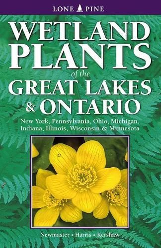 Wetland Plants of the Great Lakes and Ontario 9781774511985