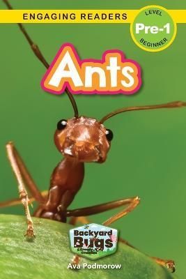Ants By Ava Podmorow (author), Sarah Harvey (editor) 9781774767337