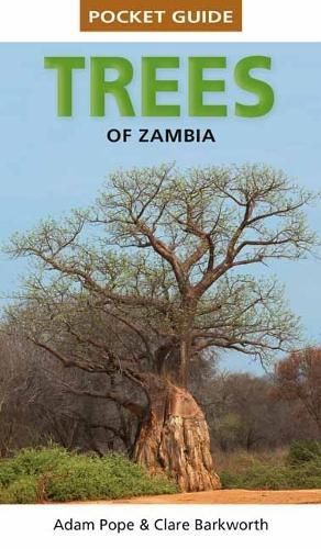 Pocket Guide Trees of Zambia By Clare Barkworth, Adam Pope (Paperback)