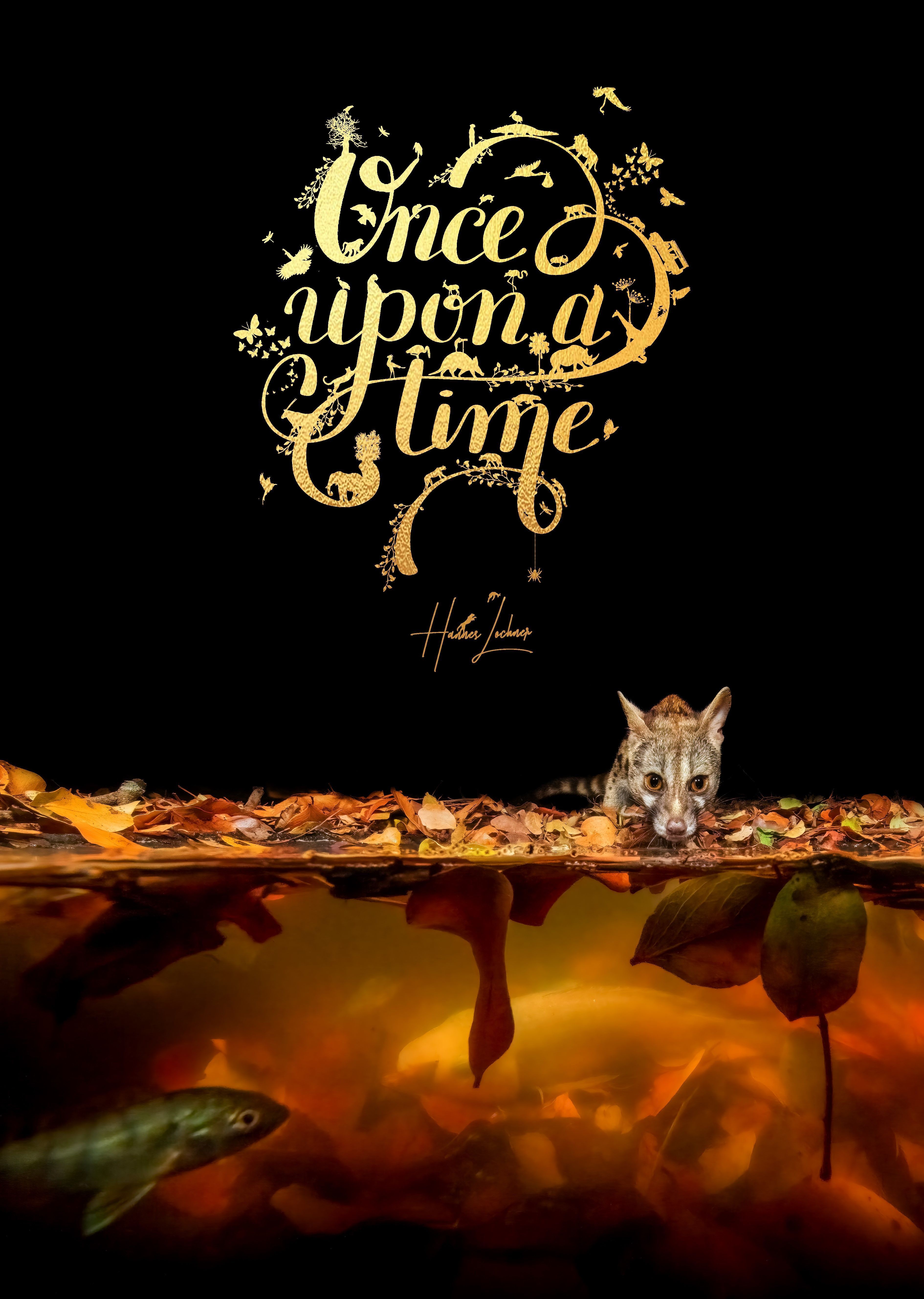 Once Upon a Time By Hannes Lochner 9781776433186 (Hardback)