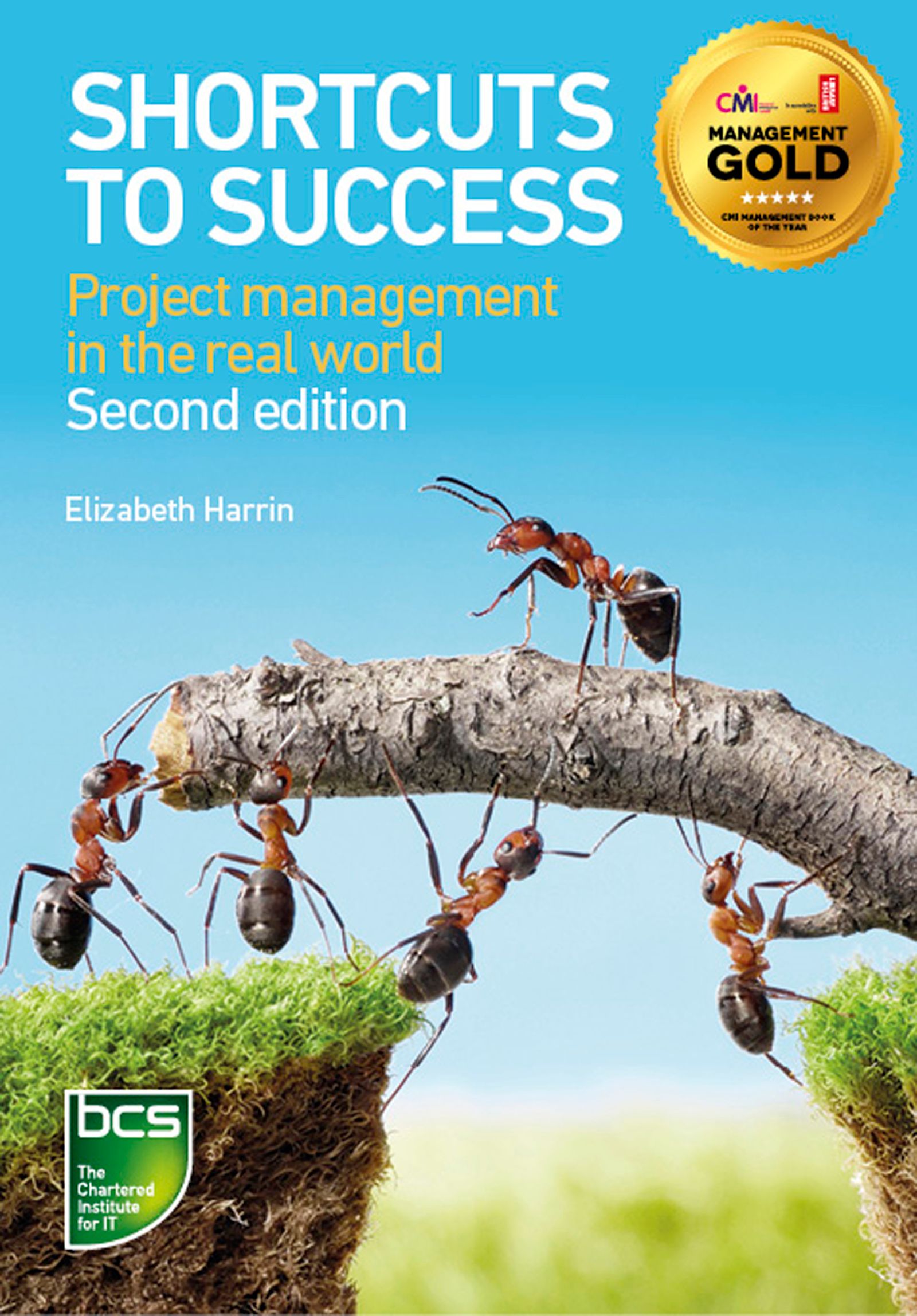 Shortcuts to success By Elizabeth Harrin 9781780171715 (Paperback)