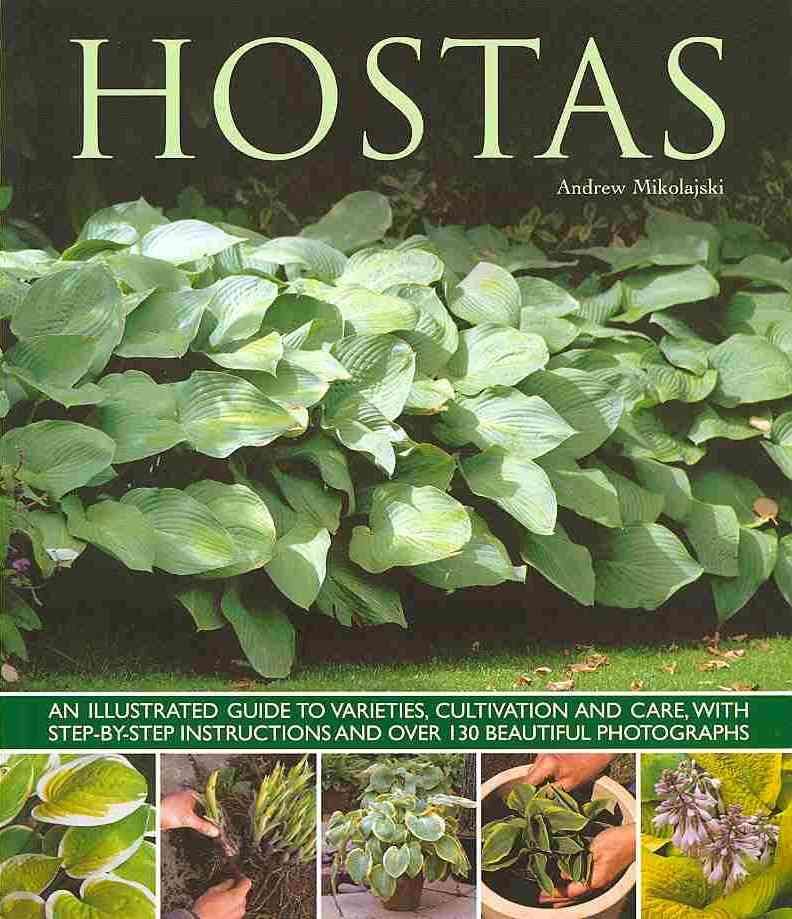 Hostas By Andrew Mikolajski (author), Peter Anderson (illustrator)