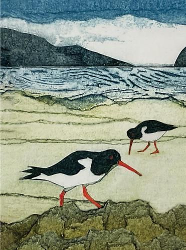 Wild Birds Pocket Notebook: Oystercatcher 9781780278469