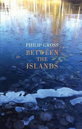 Between the Islands By Philip Gross 9781780375069 (Paperback)