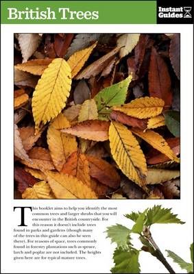 British Trees By Instant Guides 9781780500089 (Paperback)