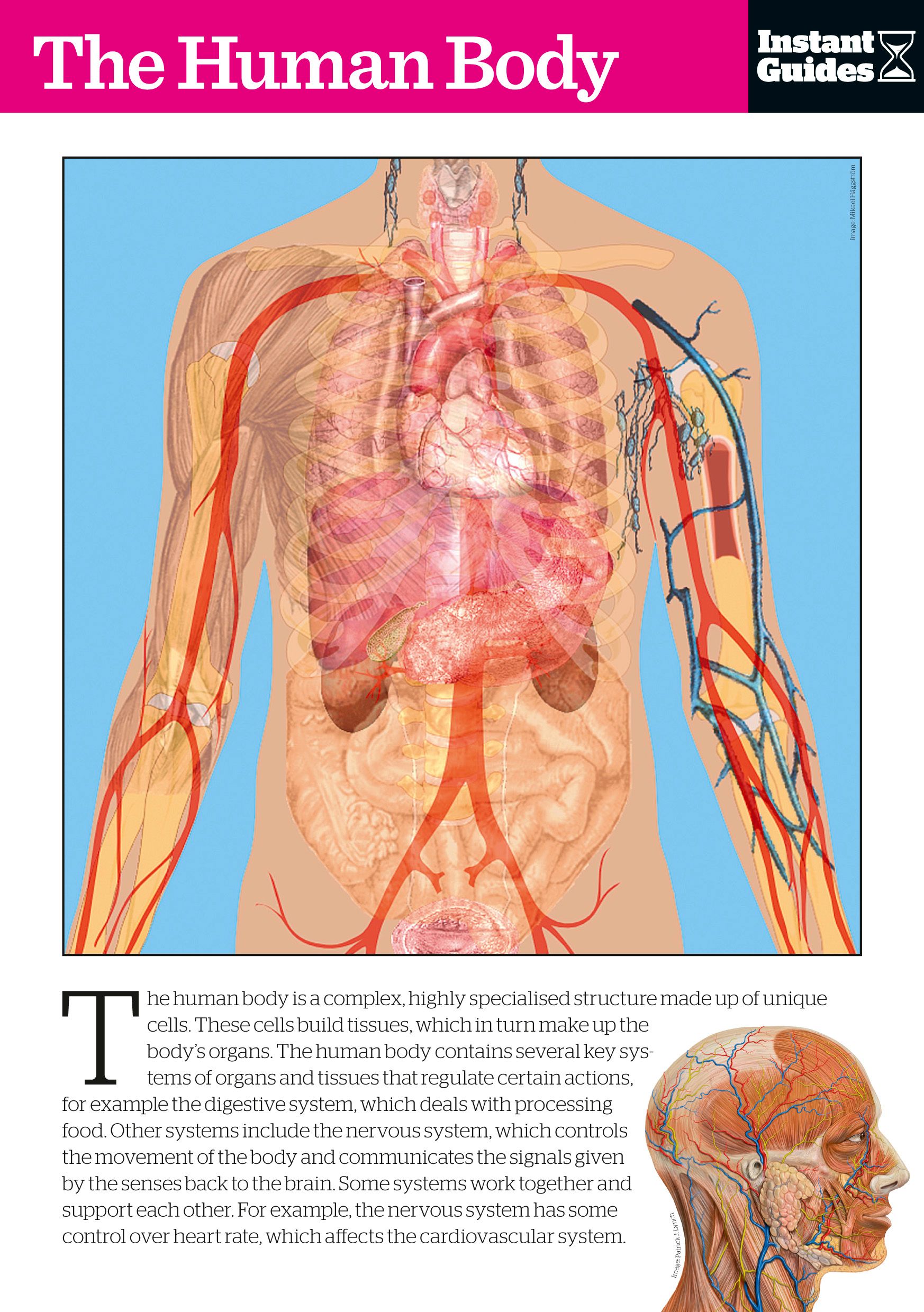 The Human Body By Instant Guides 9781780500133 (Paperback)