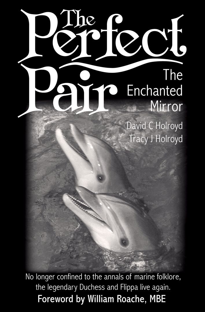 The Perfect Pair By David C Holroyd 9781780882369 (Hardback)