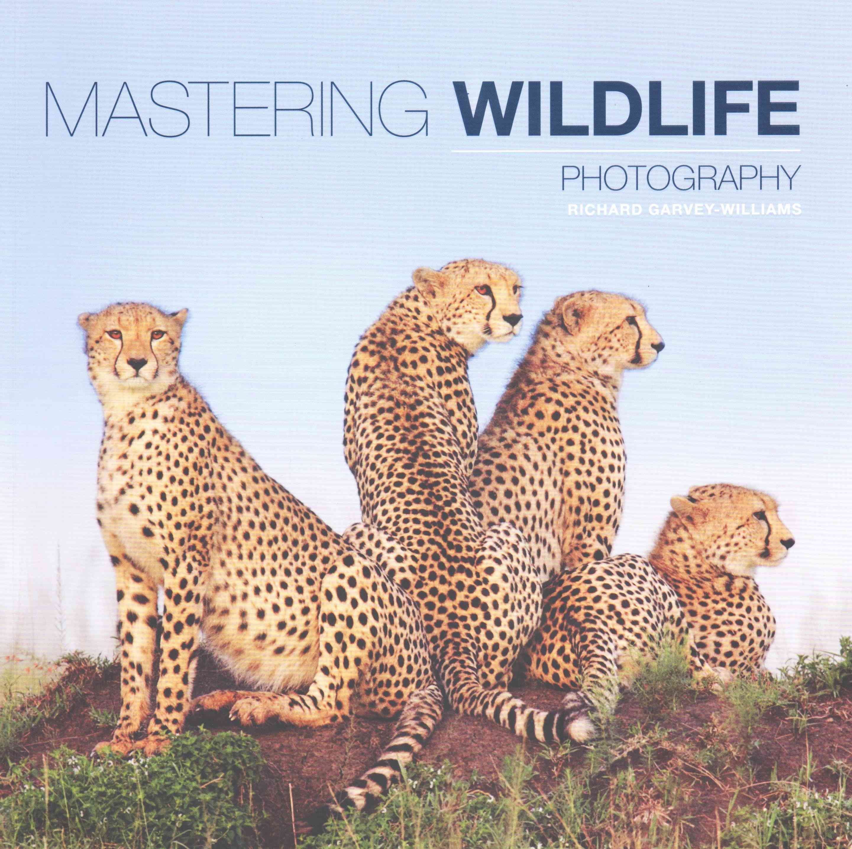 Mastering Wildlife Photography By Richard Garvey-Williams (Paperback)