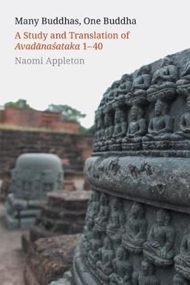 Many Buddhas, One Buddha By Naomi Appleton 9781781798966 (Hardback)