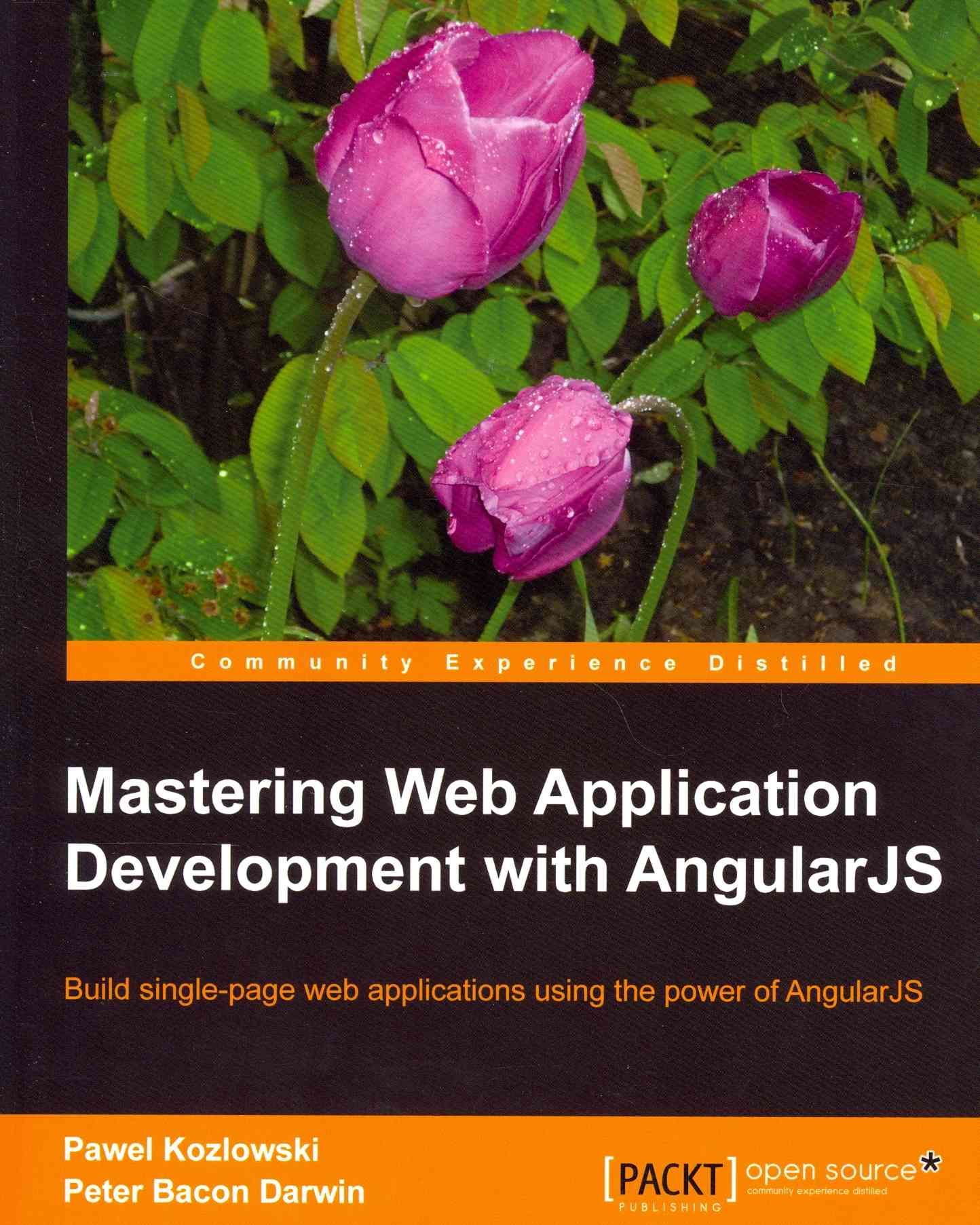Mastering Web Application Development with AngularJS 9781782161820