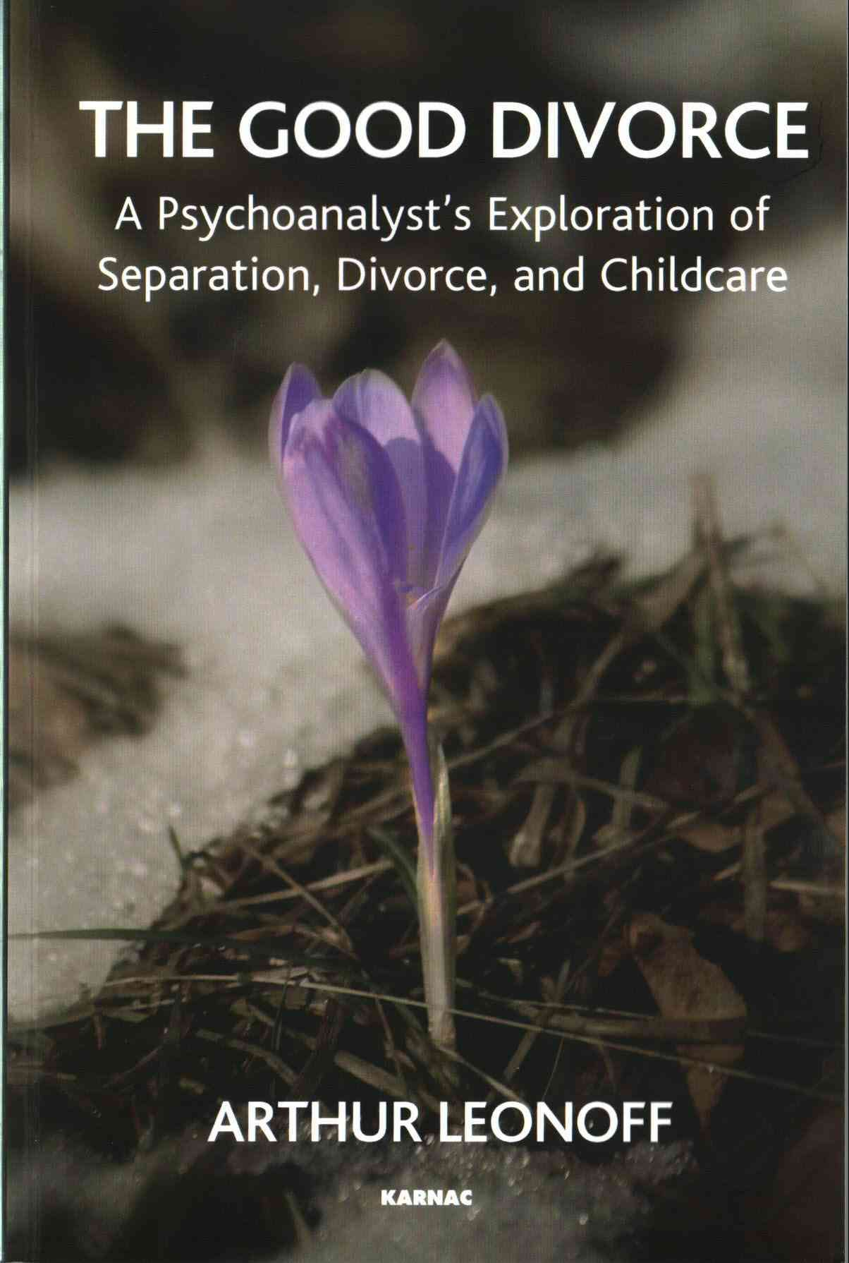 The Good Divorce: A Psychoanalyst's Exploration of Separation, Divorce, and Childcare