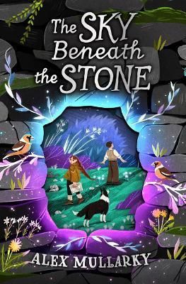 The Sky Beneath the Stone By Alex Mullarky 9781782507871 (Paperback)