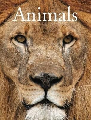 Animals By David Alderton 9781782747703 (Paperback)
