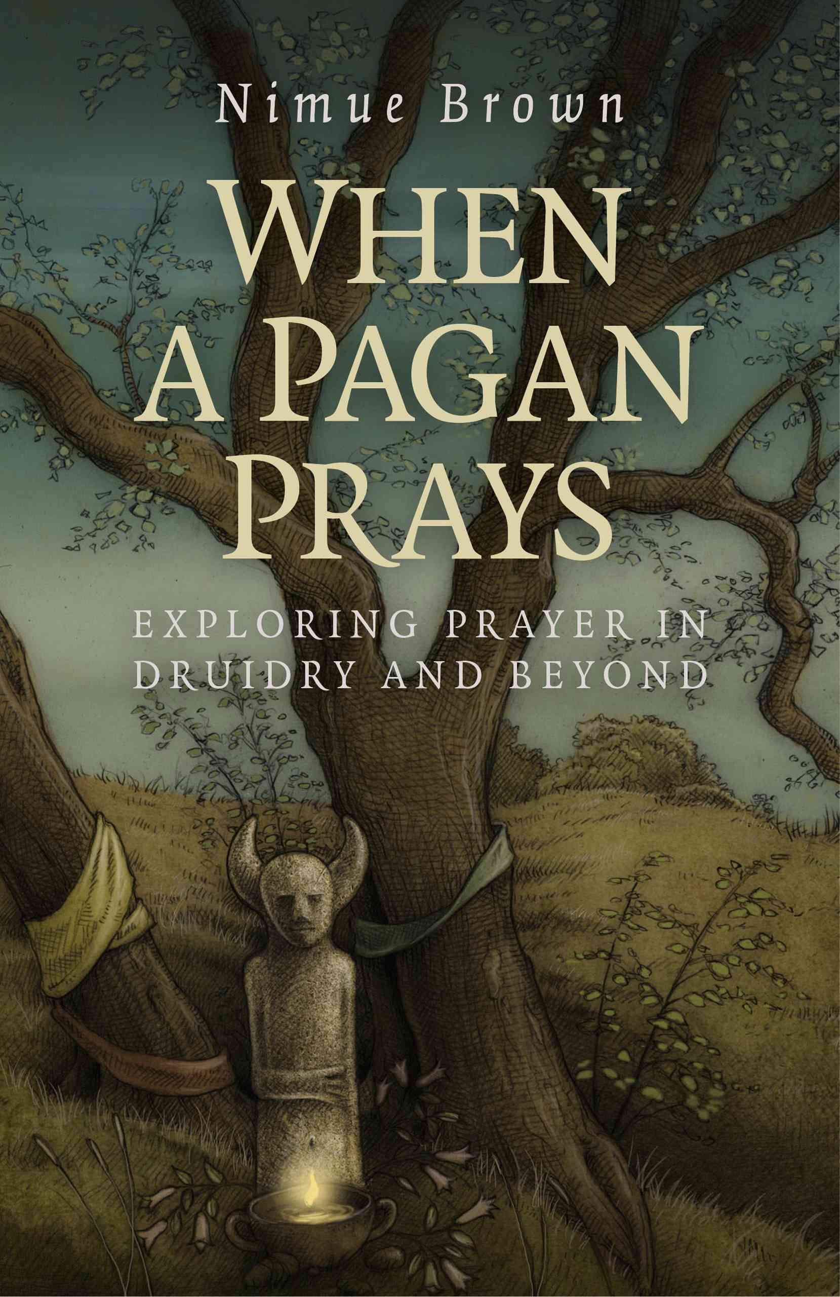 When a Pagan Prays By Nimue Brown 9781782796336 (Paperback)