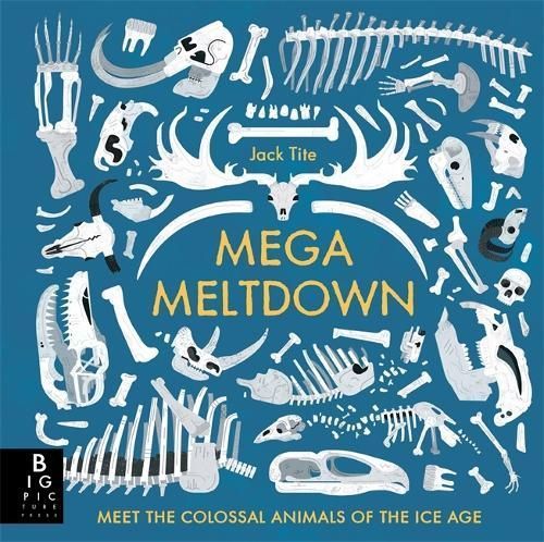 Mega Meltdown By Jack Tite 9781783708314 (Hardback)