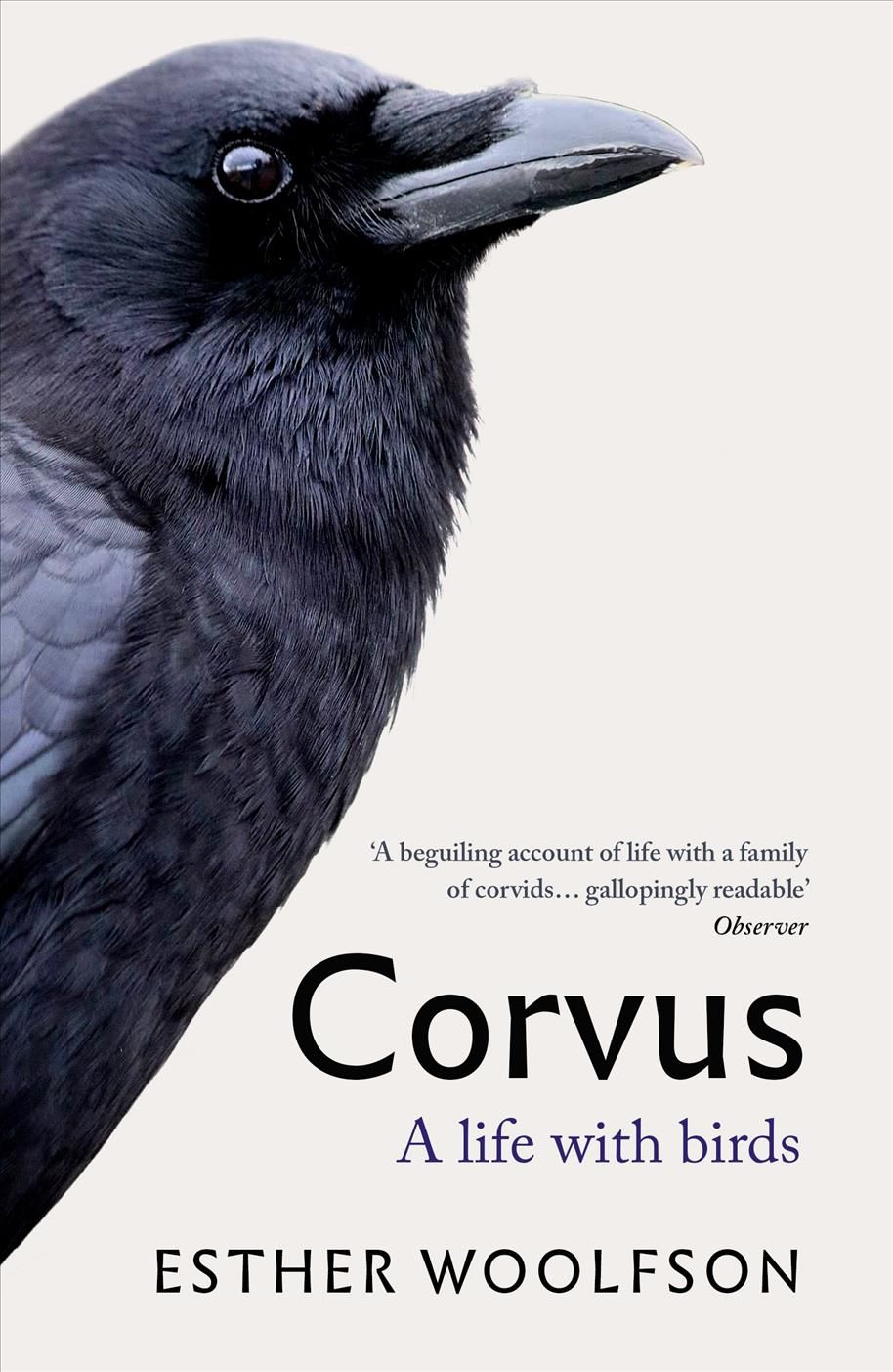 Corvus By Esther Woolfson (author), Helen Macdonald (illustrator)