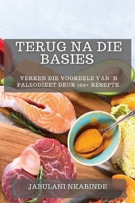 Terug na Die Basies By Nkabinde 9781783810147 (Paperback)