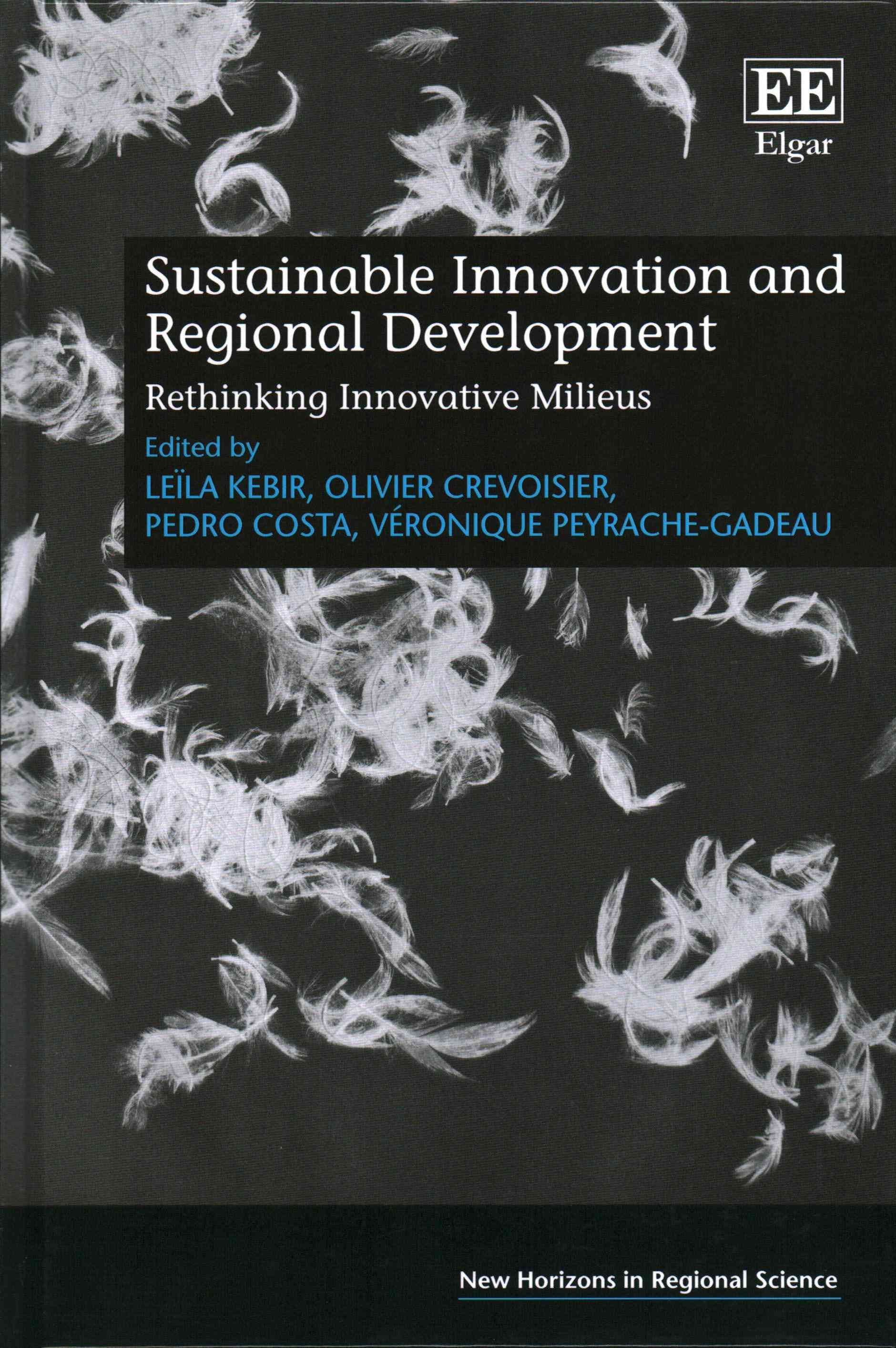 Sustainable Innovation and Regional Development By Leïla Kebir