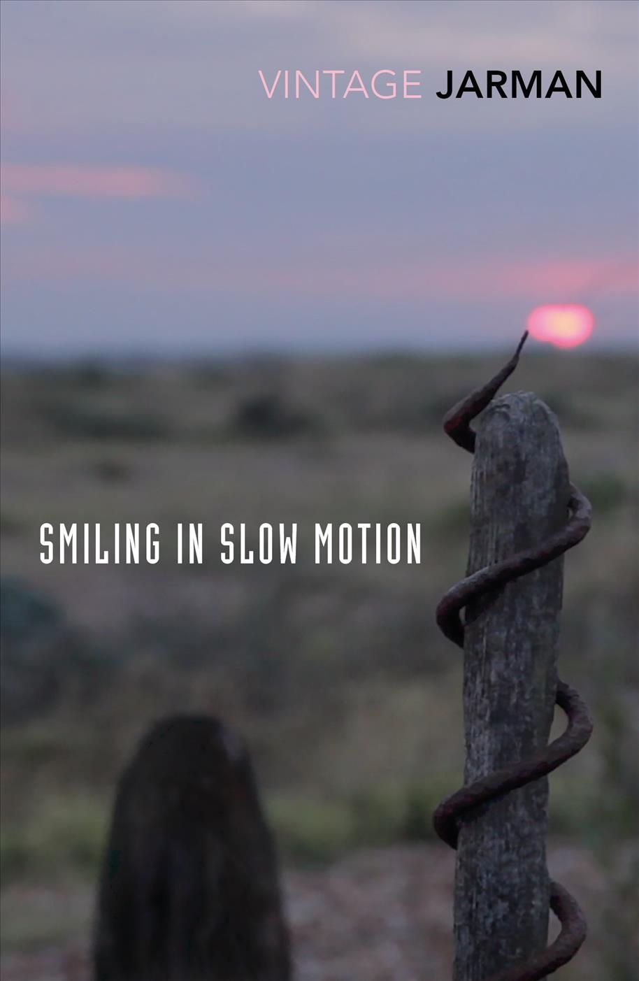 Smiling in Slow Motion 9781784875169 (Paperback)