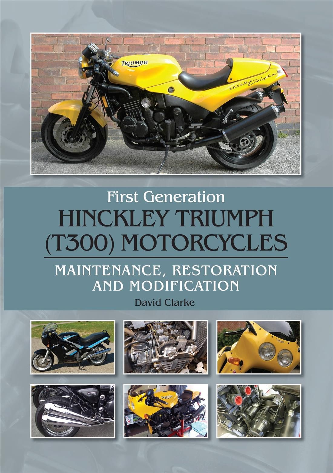 First Generation Hinckley Triumph (T300) Motorcycles By David Clarke