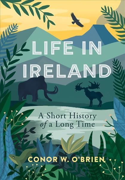 Life in Ireland By Conor W. O'Brien 9781785373848 (Paperback)