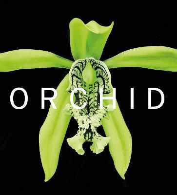 Orchid By David A. Berry 9781785514432 (Hardback)