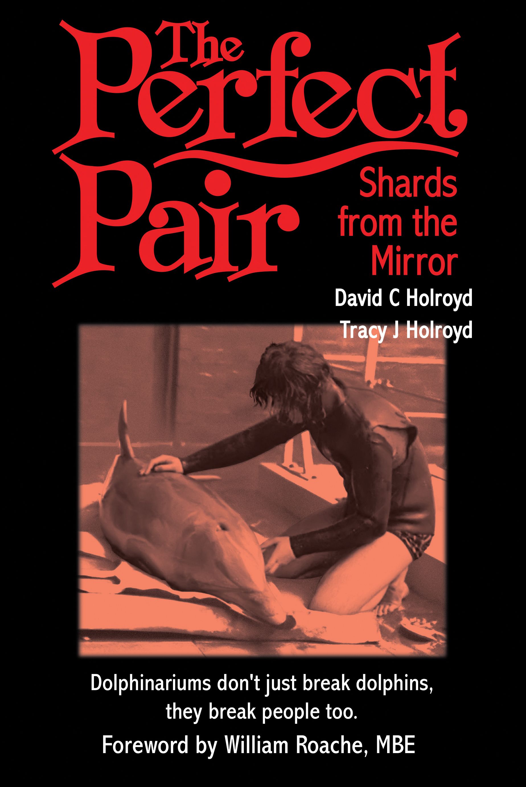 The Perfect Pair By David C. Holroyd 9781785890970 (Hardback)