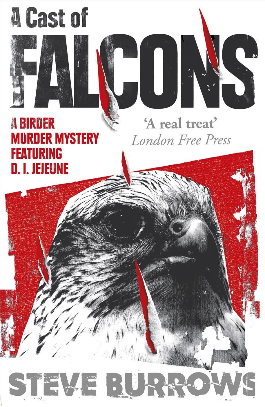 A Cast of Falcons By Steve Burrows 9781786074287 (Paperback)
