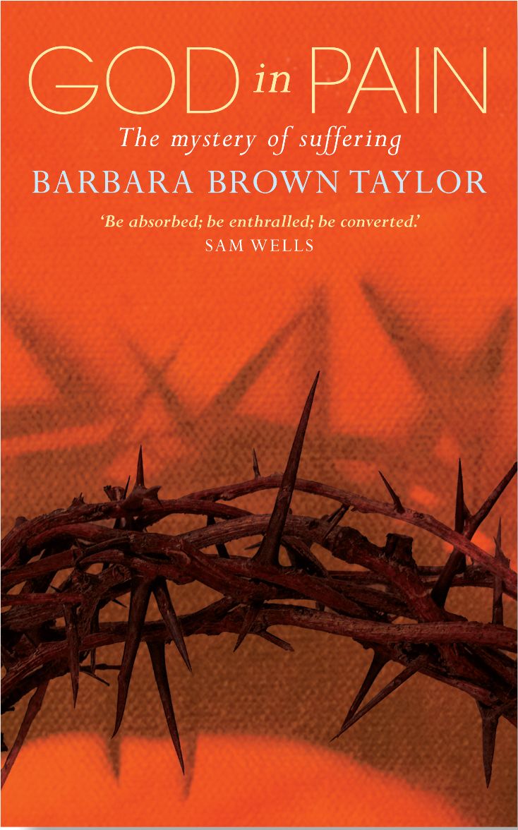 God in Pain By Barbara Brown Taylor 9781786220943 (Paperback)