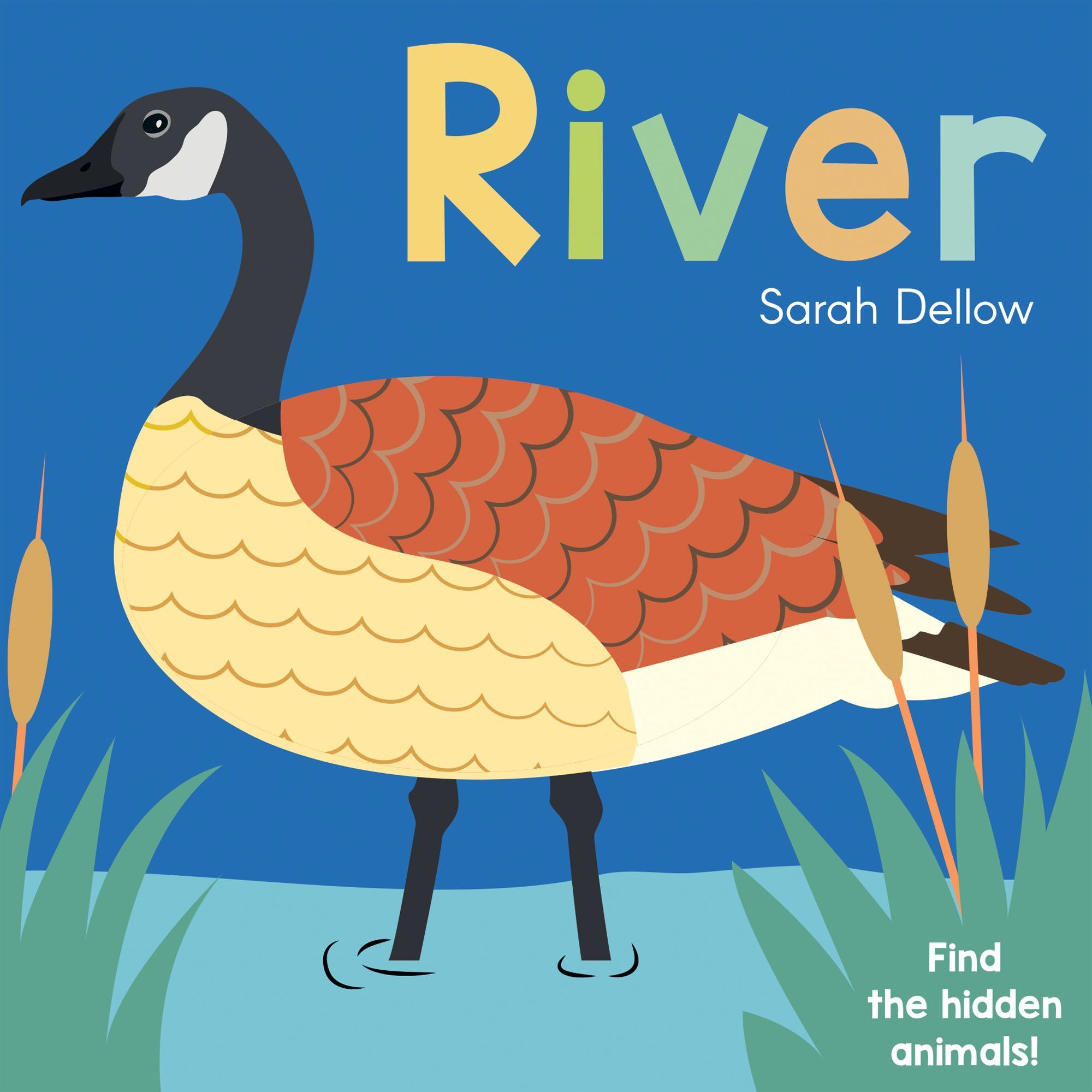 Now you See It! River By Sarah Dellow 9781786285850 (Board book)