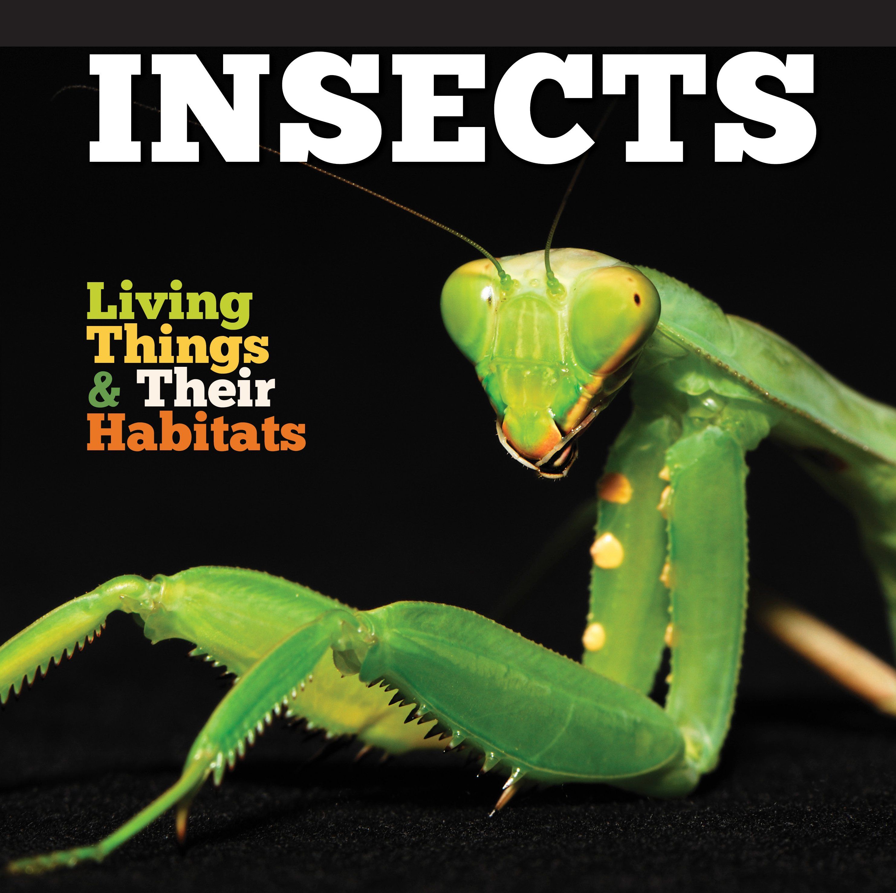 Insects By Grace Jones 9781786371263 (Hardback)