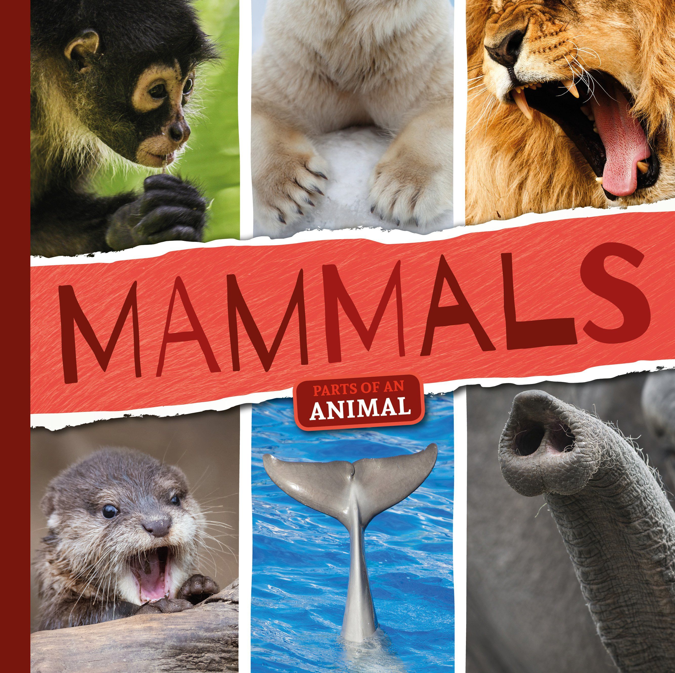 Mammals By Emilie Dufresne 9781786374349 (Hardback)