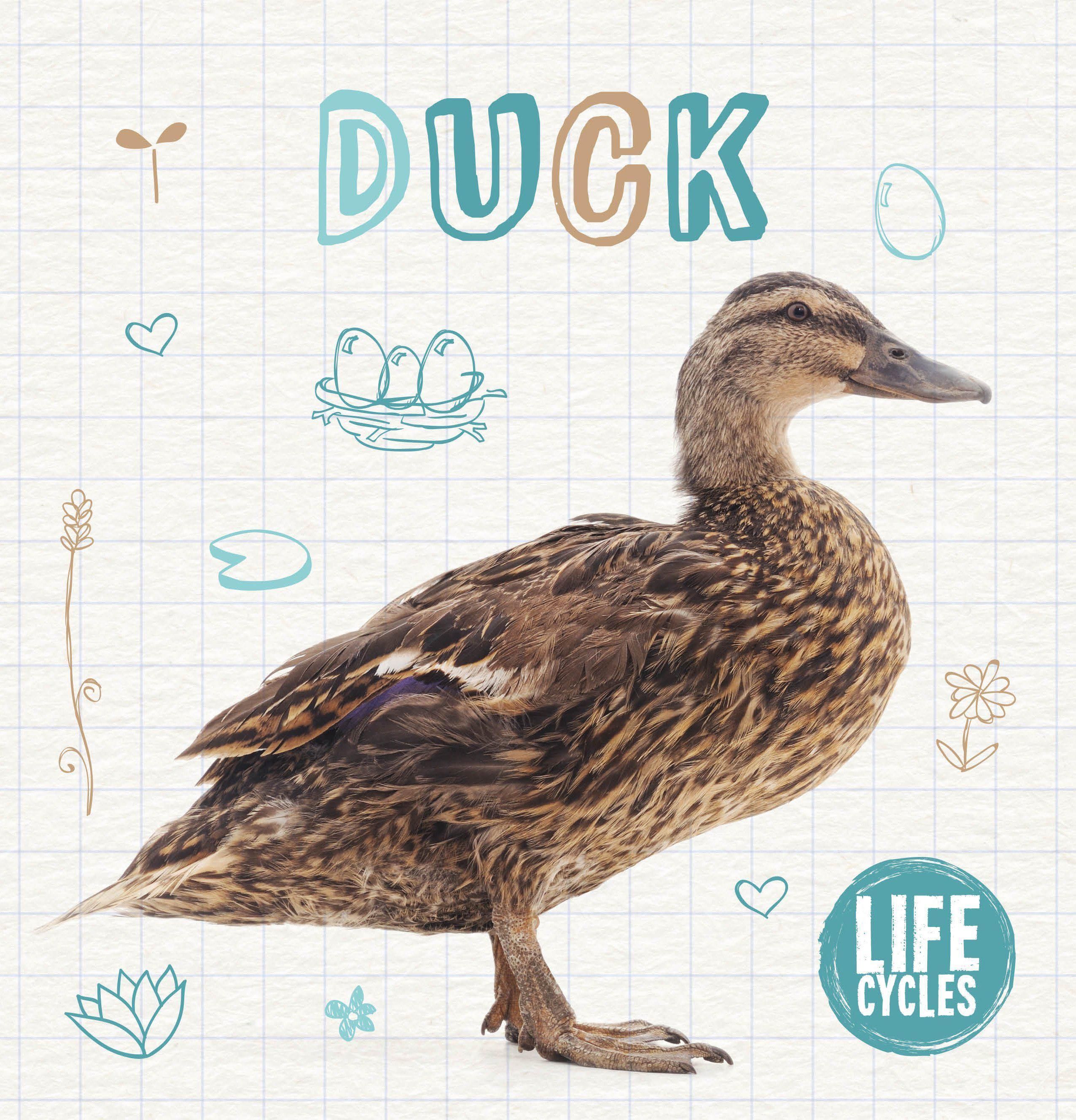 Duck By Shalini Vallepur 9781786377333 (Hardback)