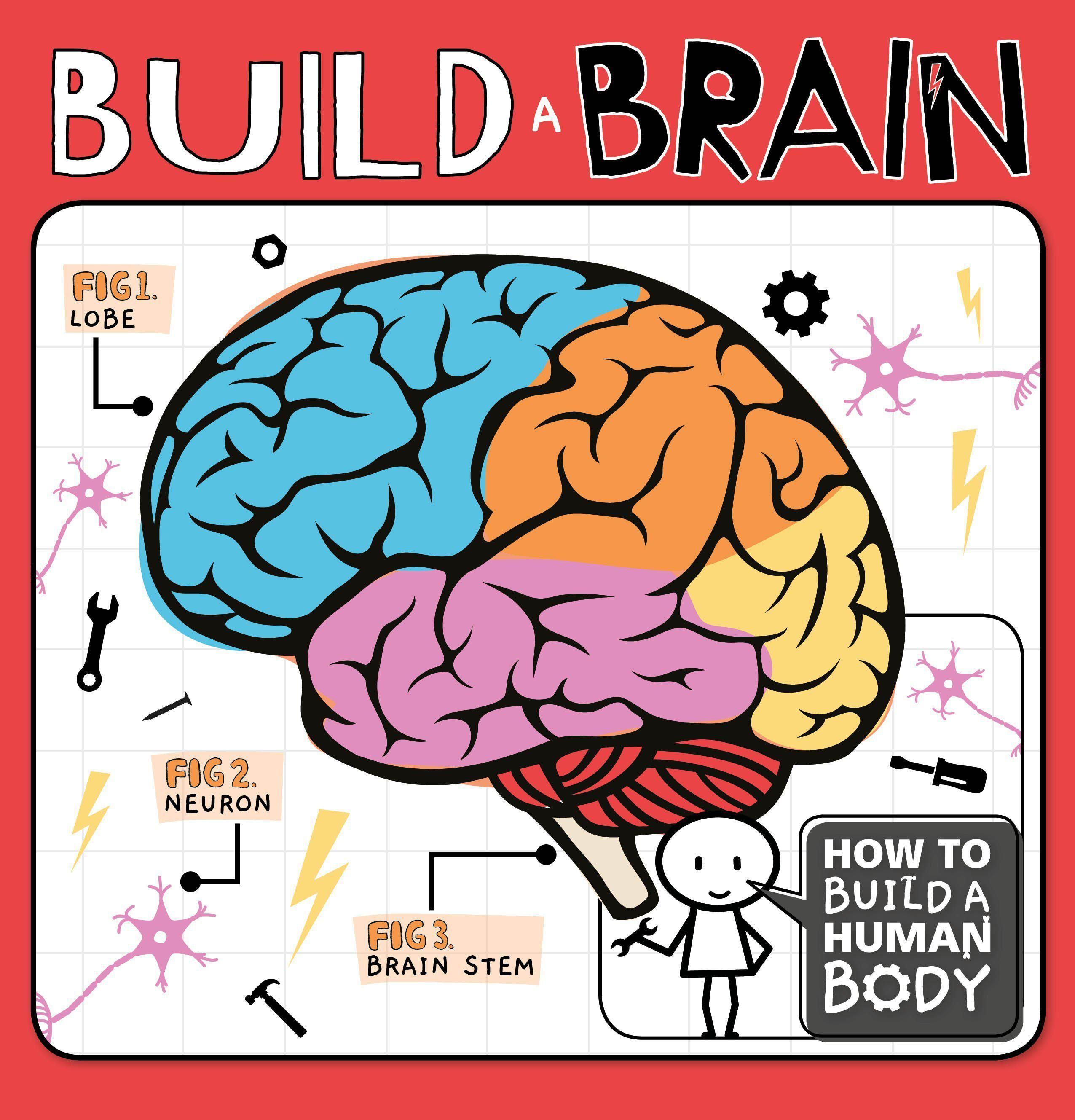 Build a Brain By Kirsty Holmes 9781786377937 (Paperback)