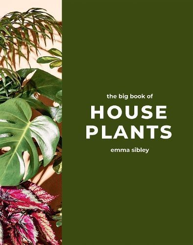 The Big Book of House Plants By Emma Sibley 9781787139428 (Hardback)