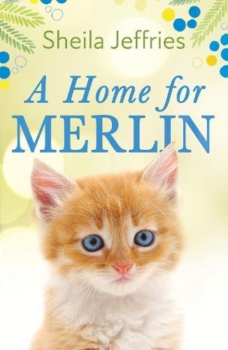 A Home for Merlin By Sheila Jeffries 9781787395756 (Paperback)
