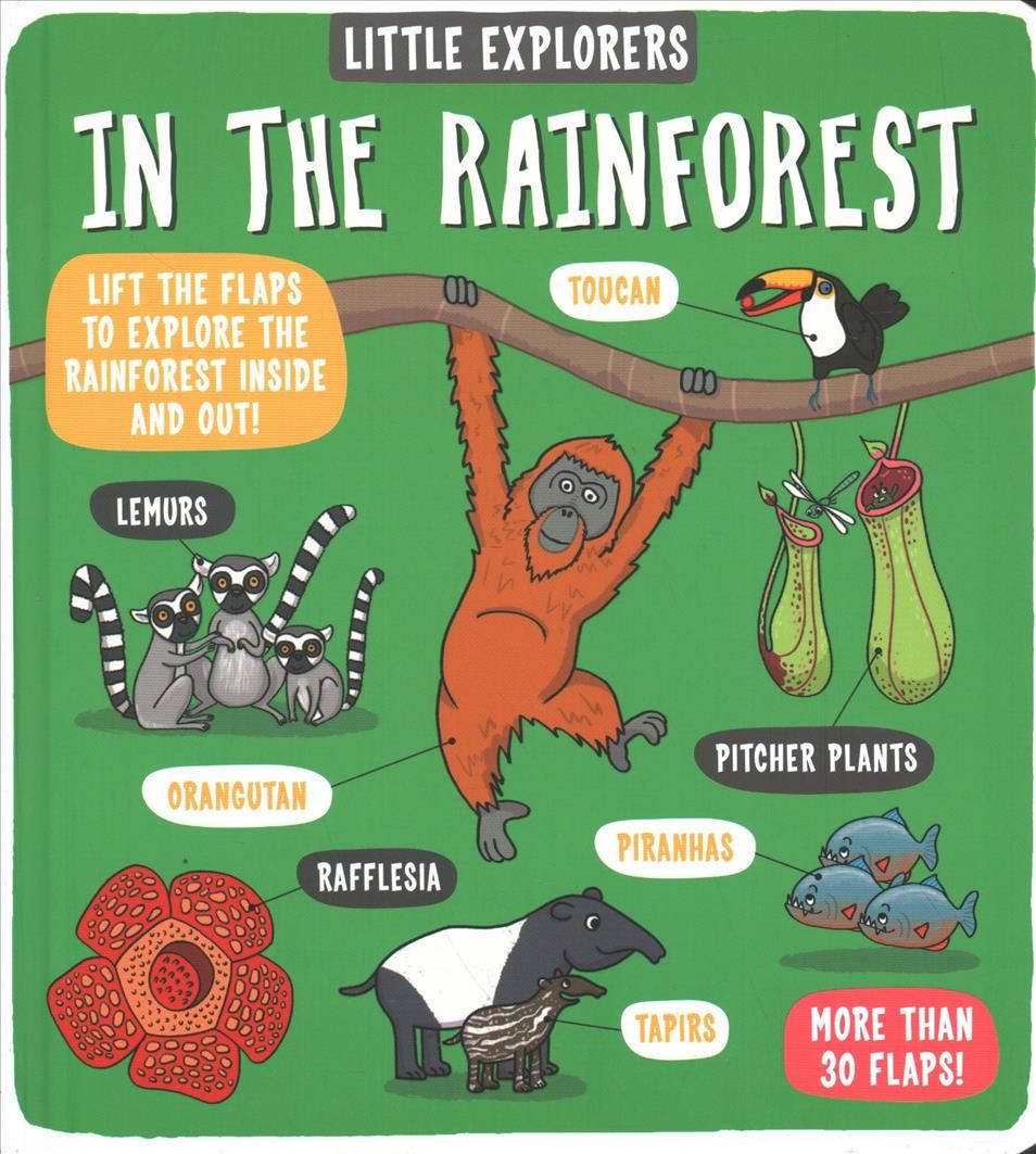 In the Rainforest By Ltd., Dynamo 9781787413313 (Board book)
