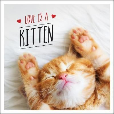 Love Is a Kitten By Charlie Ellis 9781787832626 (Hardback)