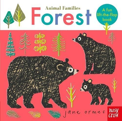 Forest By Jane Ormes (artist) 9781788004589 (Board book)