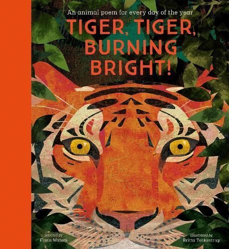 Tiger, Tiger, Burning Bright! 9781788005678 (Hardback)
