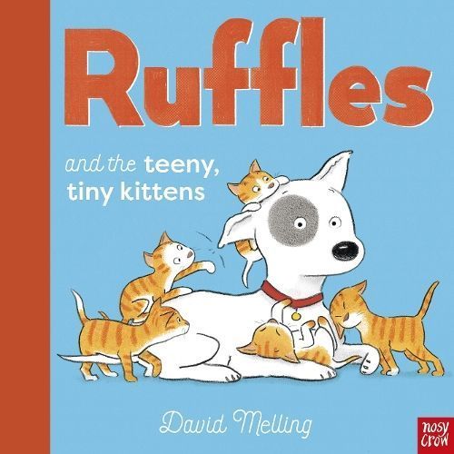 Ruffles and the Teeny, Tiny Kittens By David Melling 9781788009911