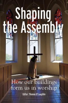 Shaping the Assembly By Thomas O'Loughlin (editor) 9781788126113