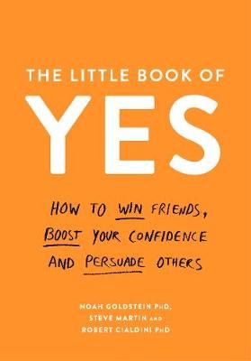 The Little Book of Yes 9781788160568 (Paperback)